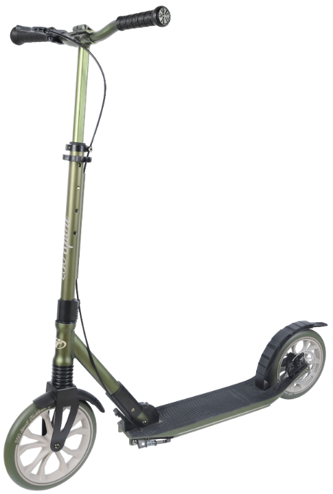 Самокат TechTeam Sport 250 зелёный