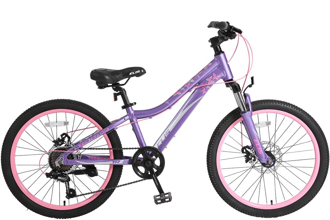 Велосипед TechTeam 26" Elis 16" фиолетовый