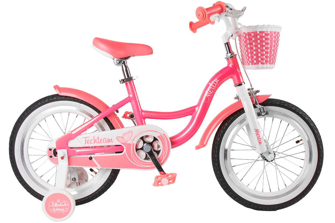 Велосипед TechTeam Merlin 20" розовый