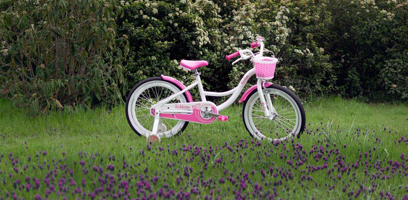 Велосипеды для <span> юных леди</span>