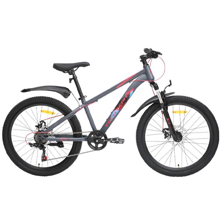 Велосипед TechTeam Tenet 22"x12" красный