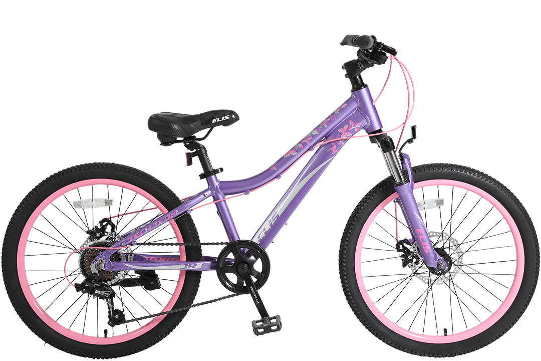 Велосипед TechTeam ELIS 22" фиолетовый